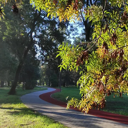 Nature In The Lower Storey Bestern Apartament