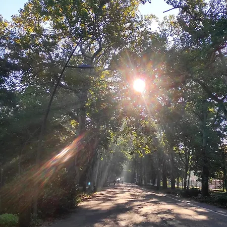 Apartament Nature In The Lower Storey Bestern